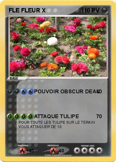 Pokemon FLE FLEUR X