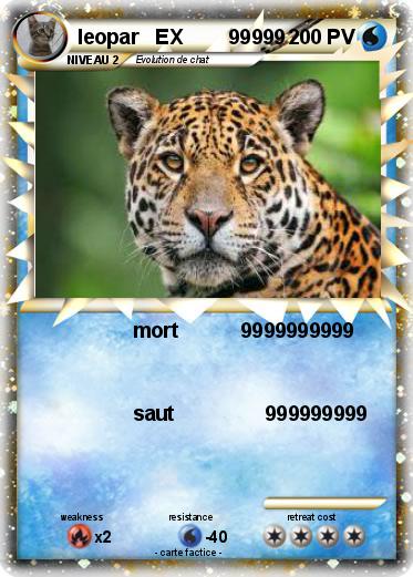 Pokemon leopar   EX        99999