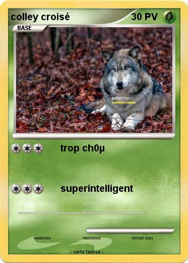 Pokemon colley croisé