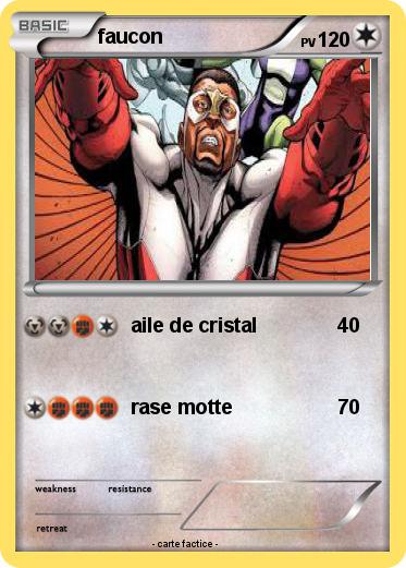 Pokemon faucon