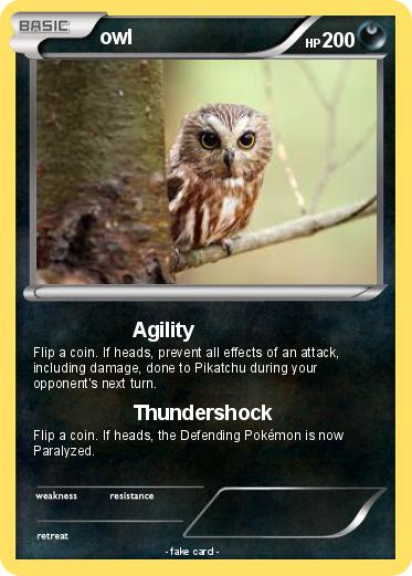 Pokemon owl