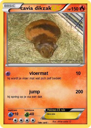 Pokemon cavia dikzak