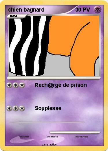 Pokemon chien bagnard