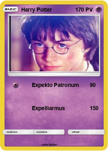 Pokemon Harry Potter