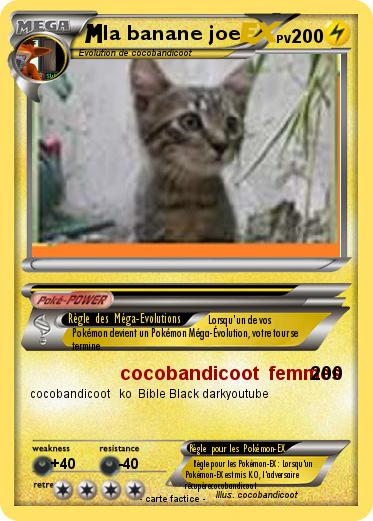 Pokemon la banane joe