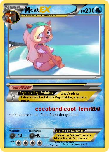 Pokemon cat