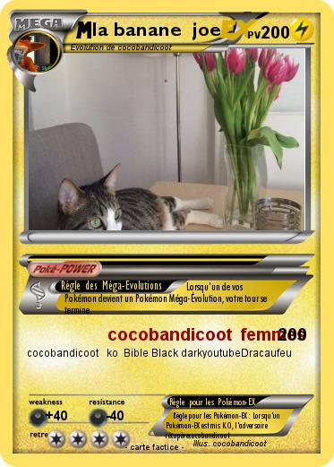 Pokemon la banane  joe