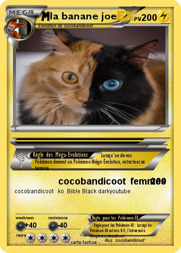 Pokemon la banane joe