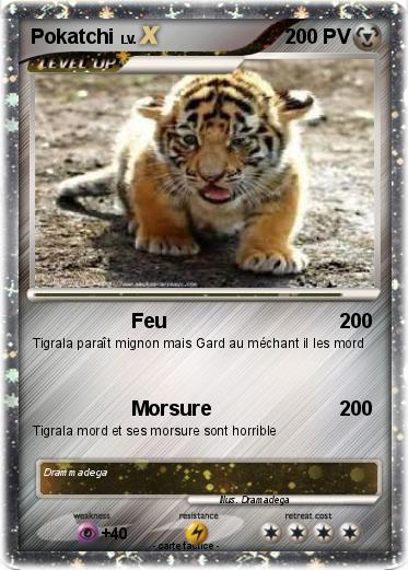 Pokemon Pokatchi