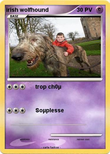 Pokemon irish wolfhound