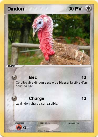 Pokemon Dindon
