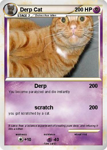 Pokemon Derp Cat