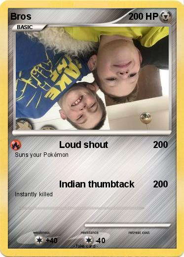 Pokemon Bros
