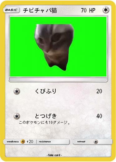 Pokemon チピチャパ猫
