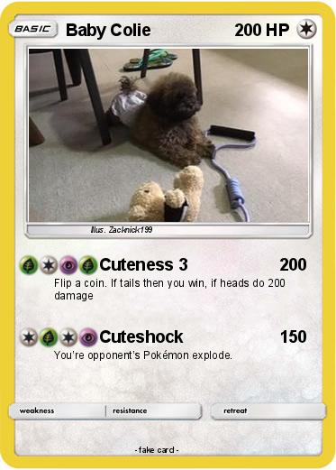 Pokemon Baby Colie