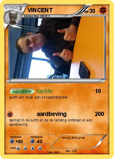 Pokemon VINCENT