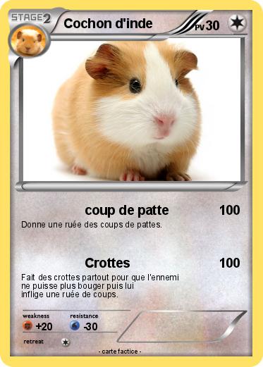 Pokemon Cochon d'inde