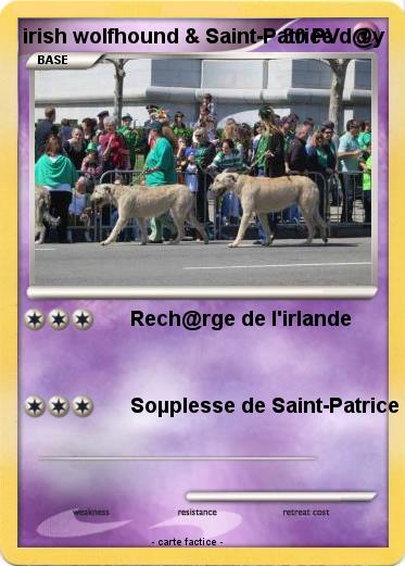 Pokemon irish wolfhound & Saint-Patrice d@y