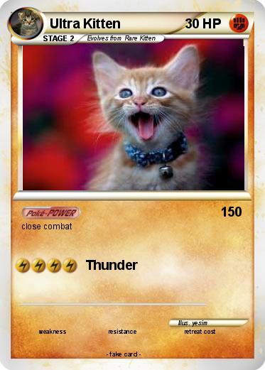 Pokemon Ultra Kitten