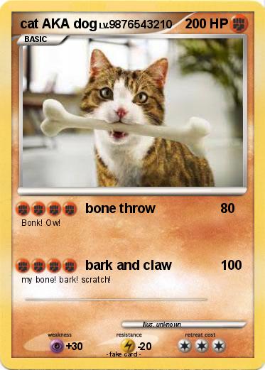 Pokemon cat AKA dog