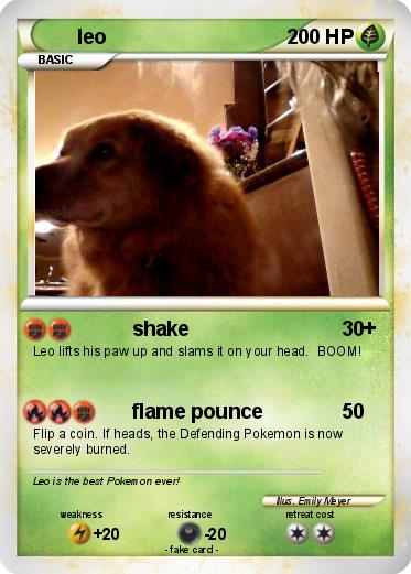 Pokemon leo