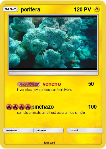 Pokemon porifera