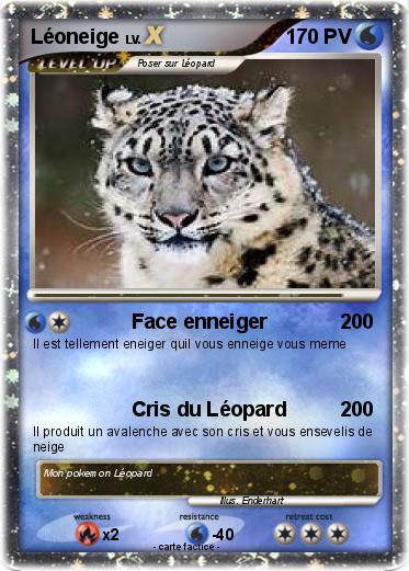 Pokemon Léoneige