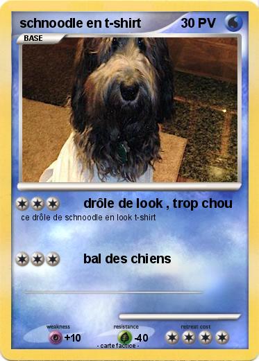 Pokemon schnoodle en t-shirt