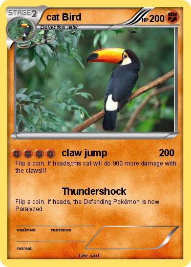 Pokemon cat Bird