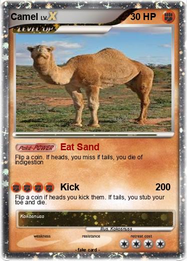 Pokemon Camel