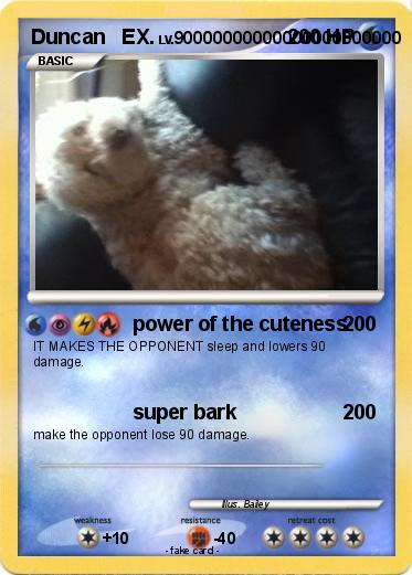 Pokemon Duncan   EX.