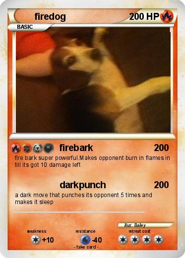 Pokemon firedog
