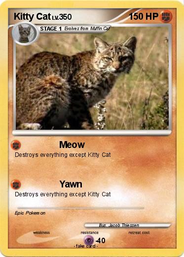 Pokemon Kitty Cat