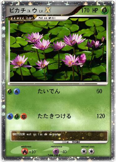 Pokemon ピカチュウ