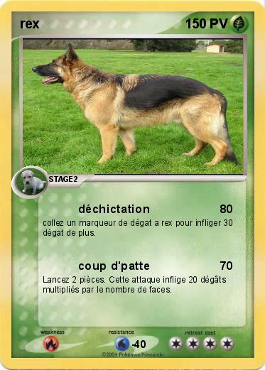 Pokemon rex