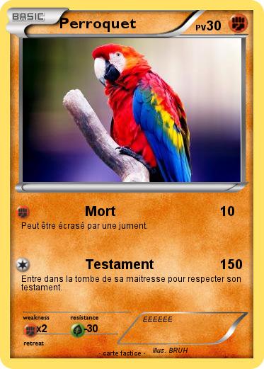 Pokemon Perroquet