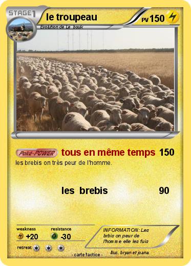 Pokemon le troupeau