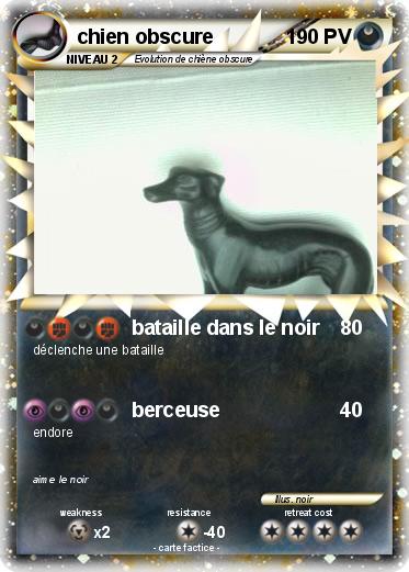Pokemon chien obscure