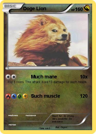 Pokemon Doge Lion