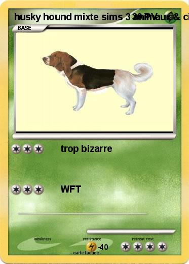 Pokemon husky hound mixte sims 3 animaux & cie