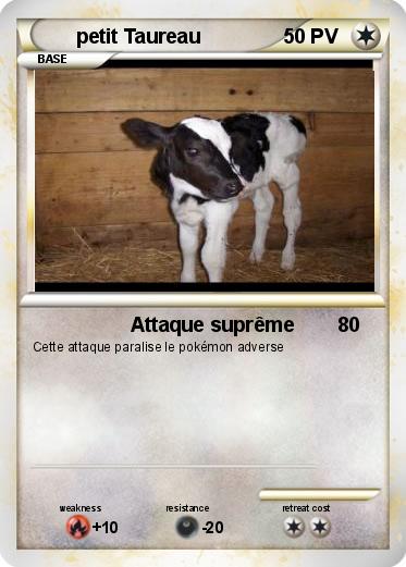Pokemon petit Taureau