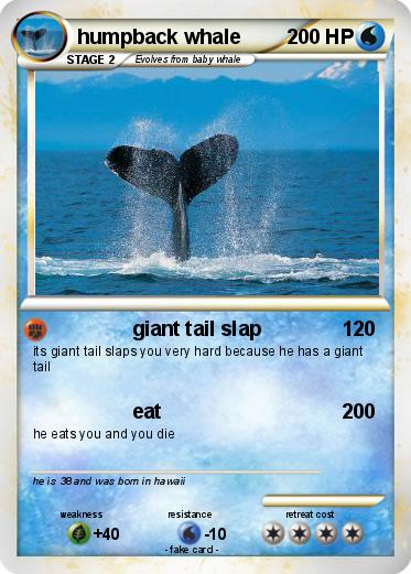 Pokemon humpback whale