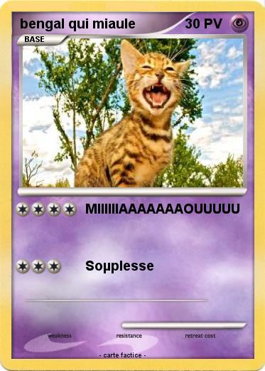 Pokemon bengal qui miaule