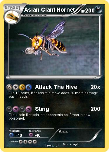 Pokemon Asian Giant Hornet