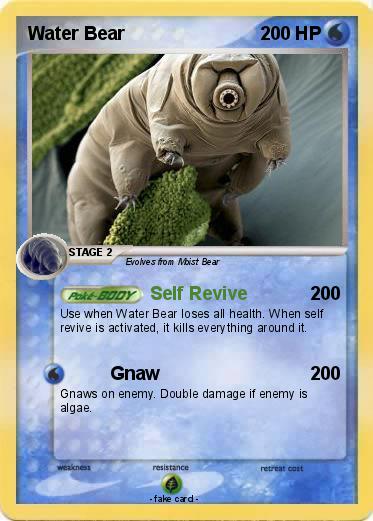 Pokemon Water Bear