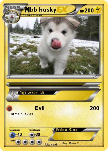 Pokemon bb husky