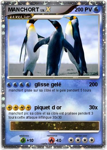 Pokemon MANCHORT