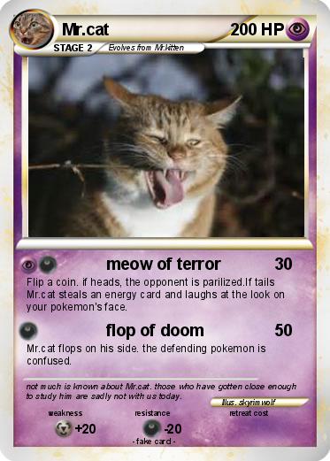 Pokemon Mr.cat