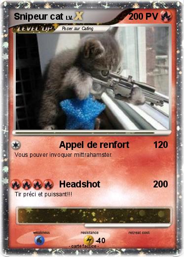 Pokemon Snipeur cat