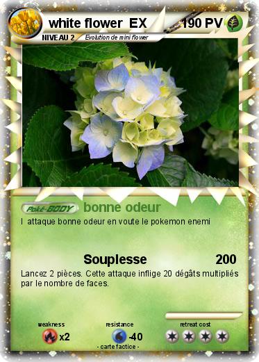 Pokemon white flower  EX